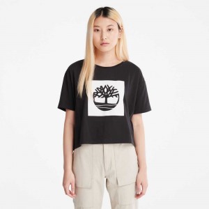 Timberland Cropped Negrii | SN-TBL46485