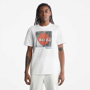 Timberland Logo Albi | SN-TBL46142