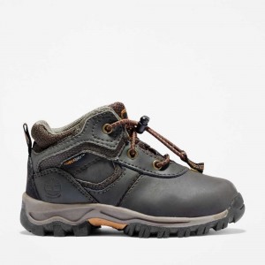 Timberland Mt Maddsen Maro | SN-TBL46647