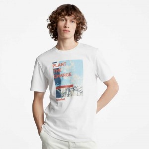 Timberland Nature Needs Heroes Albi | SN-TBL46165