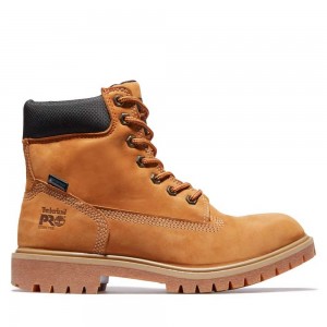Timberland Timberland Pro X Generation T Maro | SN-TBL46329